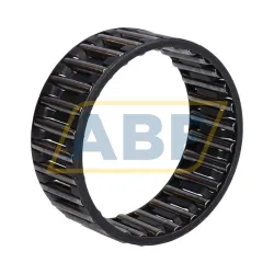 Игольчатый роликовый подшипник с сепаратором K55X63X25SORT-4-6 SKF