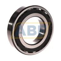 Сферический роликовый подшипник 20212TN9 SKF