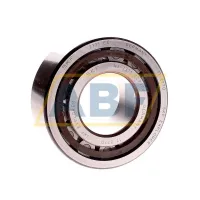 Цилиндрический роликовый подшипник NJ NJ2311ECP/C4 SKF