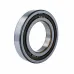Цилиндрический роликовый подшипник NUP NUP216ECP/C3 SKF