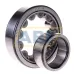 Цилиндрический роликовый подшипник NU NU310ECJ/C3 SKF