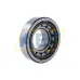 Цилиндрический роликовый подшипник NJ NJ311ECP/C5 SKF