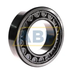 Цилиндрический роликовый подшипник NU NU2219ECJ/C3 SKF