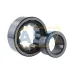 Цилиндрический роликовый подшипник NJ NJ2311ECP/C3 SKF