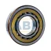 Цилиндрический роликовый подшипник NU NU319ECM/C3 SKF
