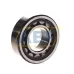 Цилиндрический роликовый подшипник NJ NJ205ECP/C3 SKF