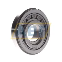 Цилиндрический роликовый подшипник однорядный BC1-0125D SKF