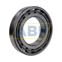 Цилиндрический роликовый подшипник N N216 SKF