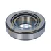 Конический роликовый подшипник однорядный T2ED055/QCLN SKF