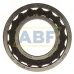 Роликовый подшипник C2209KTN9/C4/R861 SKF