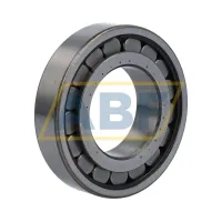 Цилиндрический роликовый подшипник однорядный 442048A SKF