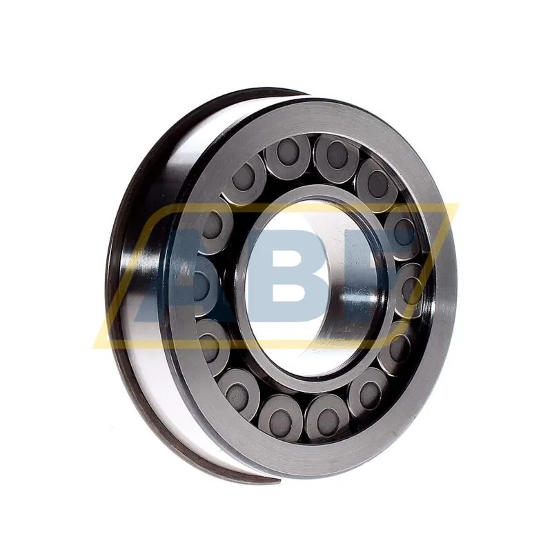 Цилиндрический роликовый подшипник однорядный 315824 SKF 360