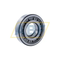 Цилиндрический роликовый подшипник NUP NUP310ECJ/C3 SKF