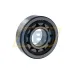 Цилиндрический роликовый подшипник NJ NJ305ECP/C4VQ015 SKF