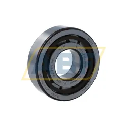 Цилиндрический роликовый подшипник NJ NJ305ECP/C4VQ015 SKF