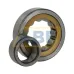 Цилиндрический роликовый подшипник NU NU305ECMP/P63RVG095 SKF
