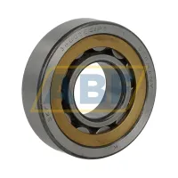 Цилиндрический роликовый подшипник NU NU305ECMP/P63RVG095 SKF