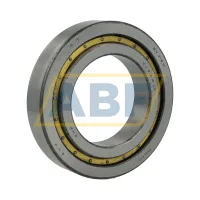 Цилиндрический роликовый подшипник однорядный NJ215MC4 RHP