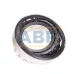 Цилиндрический роликовый подшипник однорядный BC1B322162 SKF