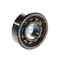 Цилиндрический роликовый подшипник NU NU204ECP/C3 SKF