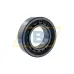 Цилиндрический роликовый подшипник NJ NJ2213ECP/C5 SKF