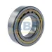 Цилиндрический роликовый подшипник NUP NUP2210ECML/C4 SKF