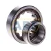 Цилиндрический роликовый подшипник NU NU206ECP SKF