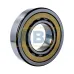 Цилиндрический роликовый подшипник NJ NJ315ECM/C4VA301 SKF