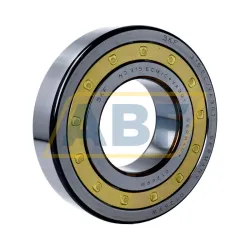 Цилиндрический роликовый подшипник NJ NJ315ECM/C4VA301 SKF