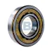 Цилиндрический роликовый подшипник NU NU319ECM SKF