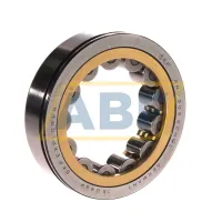 Цилиндрический роликовый подшипник однорядный RNU309ECNML SKF