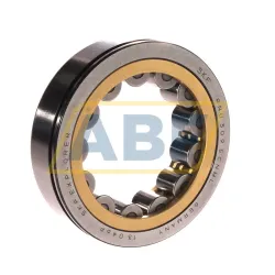 Цилиндрический роликовый подшипник однорядный RNU309ECNML SKF