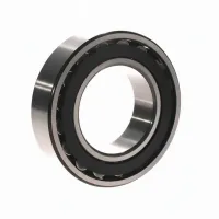 Роликовый подшипник C2214TN9/C3 SKF