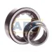 Цилиндрический роликовый подшипник NJ NJ206ECP SKF