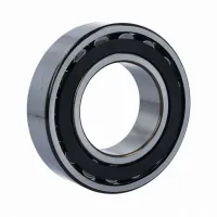 Роликовый подшипник C2213TN9/C3 SKF