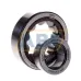 Цилиндрический роликовый подшипник NJ NJ305ECP/C4 SKF