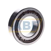Цилиндрический роликовый подшипник NJ NJ2213ECP/C3 SKF