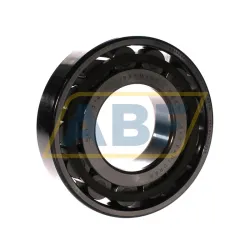 Цилиндрический роликовый подшипник N N314ECP/C3 SKF