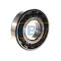 Цилиндрический роликовый подшипник N N313ECP SKF