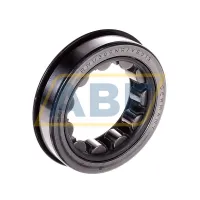 Цилиндрический роликовый подшипник RNU309NR/VE013 SKF
