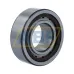 Цилиндрический роликовый подшипник однорядный BC1-0313 SKF