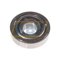 Конический роликовый подшипник однорядный 30303J2 SKF