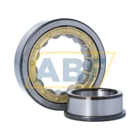 Цилиндрический роликовый подшипник NJ NJ311ECM SKF