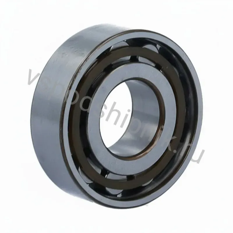 Цилиндрический роликовый подшипник однорядный N203ECP SKF 360
