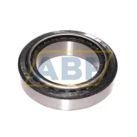 Конический роликовый подшипник однорядный JLM813049/JLM813010 Timken