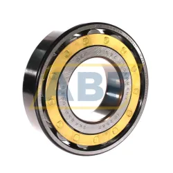 Цилиндрический роликовый подшипник N N315ECM SKF