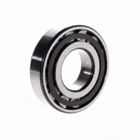 Цилиндрический роликовый подшипник N N310ECP SKF