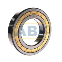 Цилиндрический роликовый подшипник NUP NUP219ECM/C3VA301 SKF