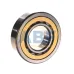 Цилиндрический роликовый подшипник NU NU310ECM SKF