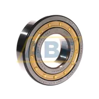 Цилиндрический роликовый подшипник NJ NJ313ECM/C3 SKF